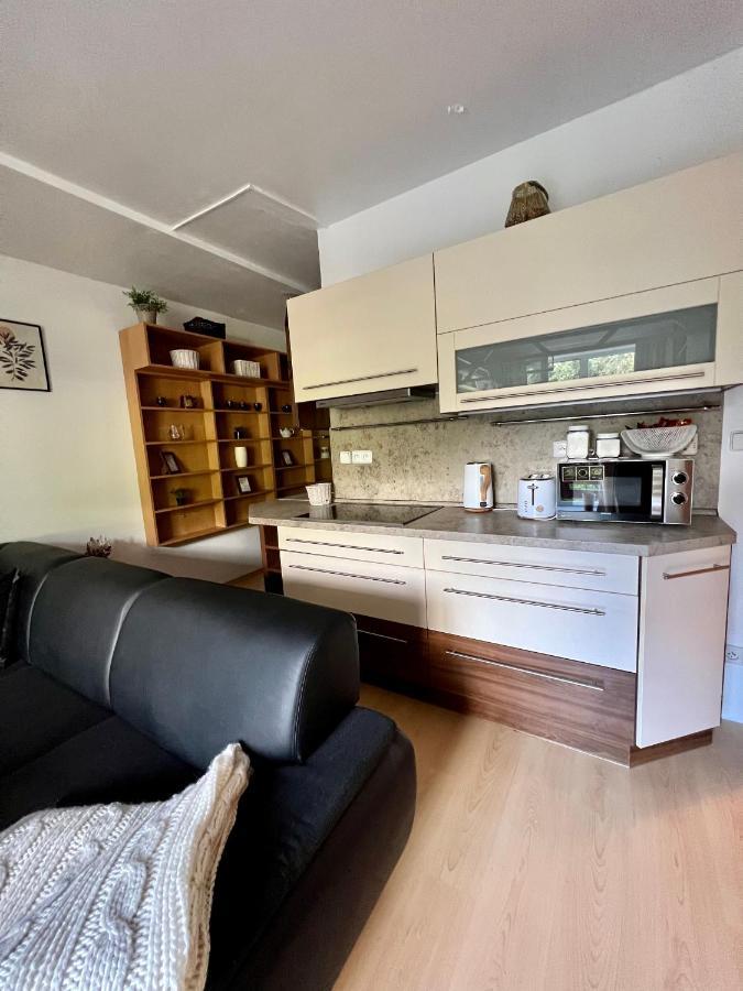 Апартаменти Apartman Labska 21 Ve Spindlerove Mlyne Шпіндлерув-Млин Екстер'єр фото
